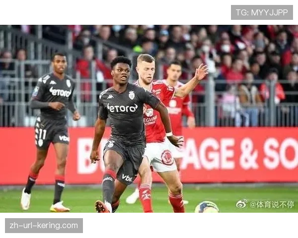 法甲考虑引入视频回放系统辅助保级关键判罚